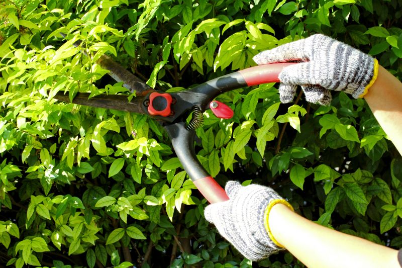 Hedge Pruning