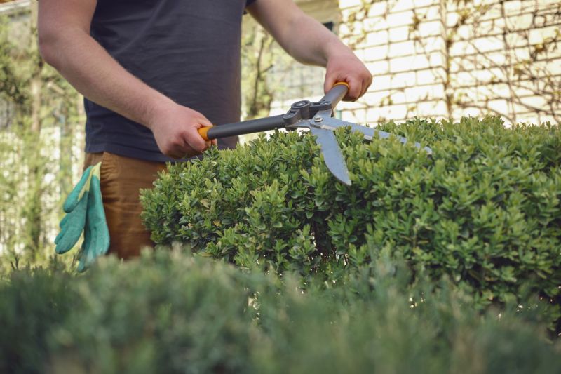 Close-up of a Pruning Hand Tool