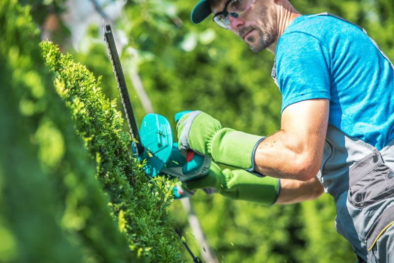 Landscaper Working on Shrubs