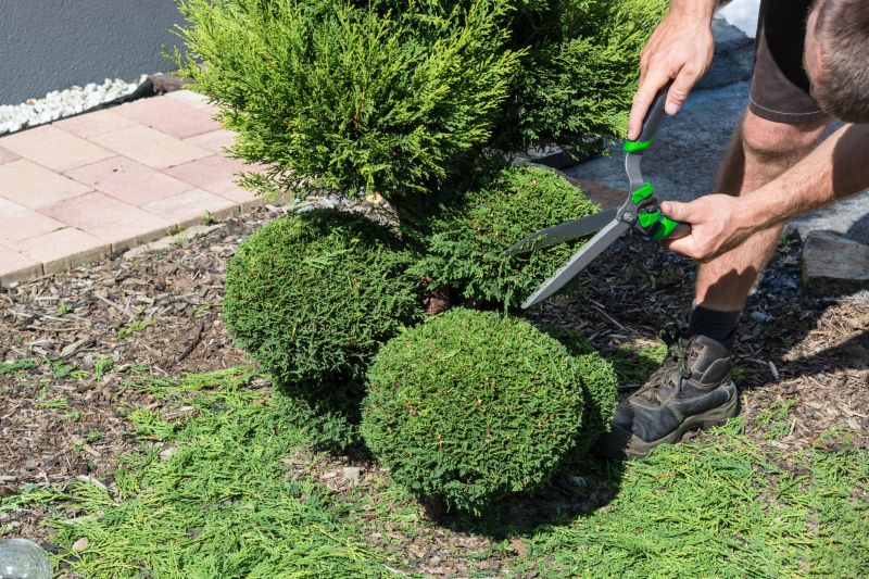 Preparing Shrubs for Spring