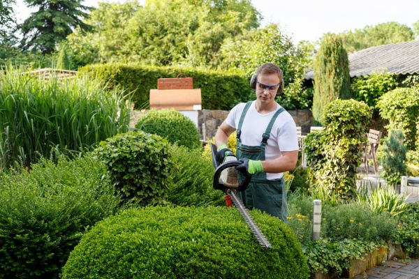 Cost of Shrubs Trimming in Elkhart